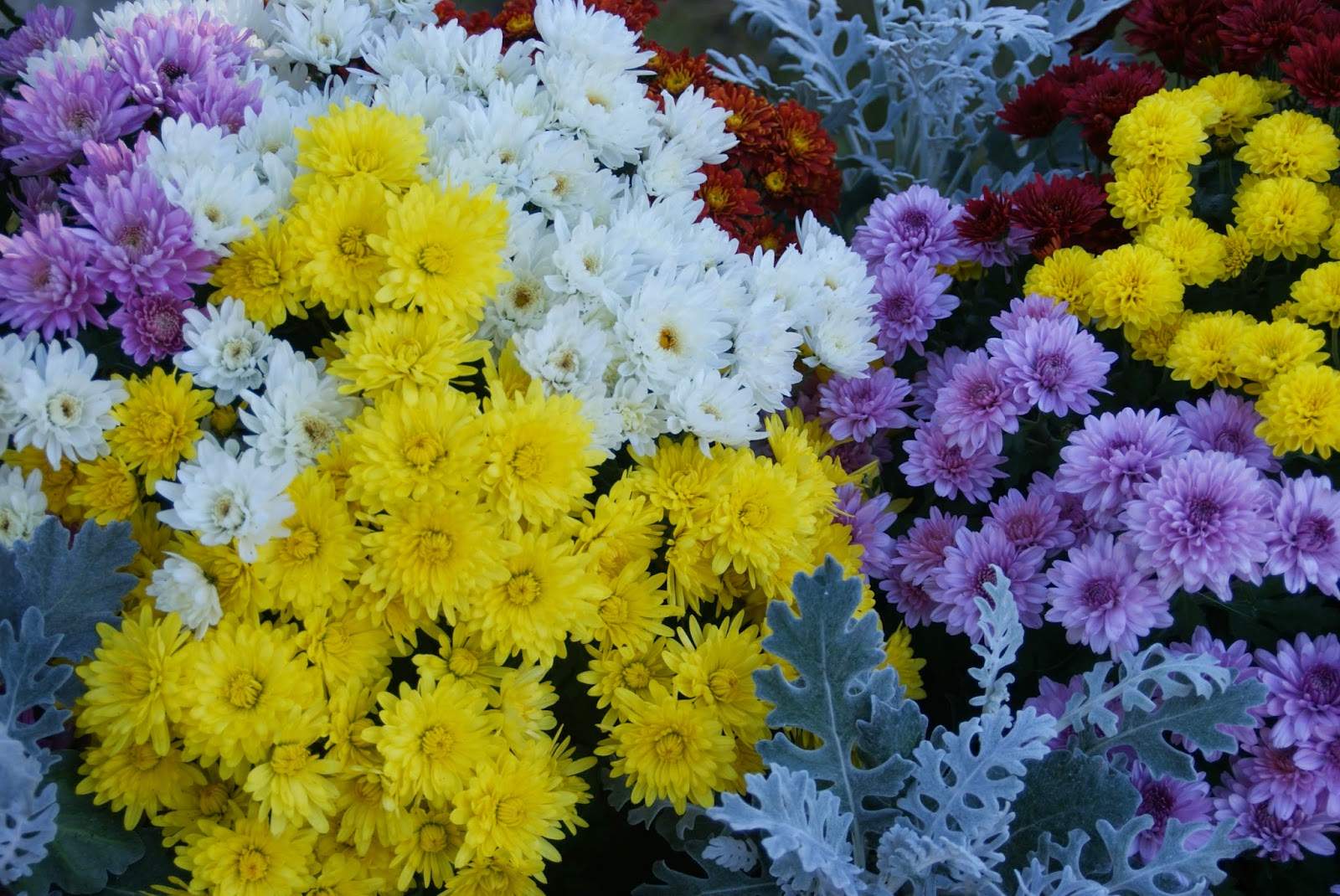 Les dernières infos de Haute Tarentaise par Pierre