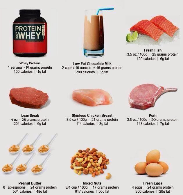 Top Protein Rich Foods! | Useful Information