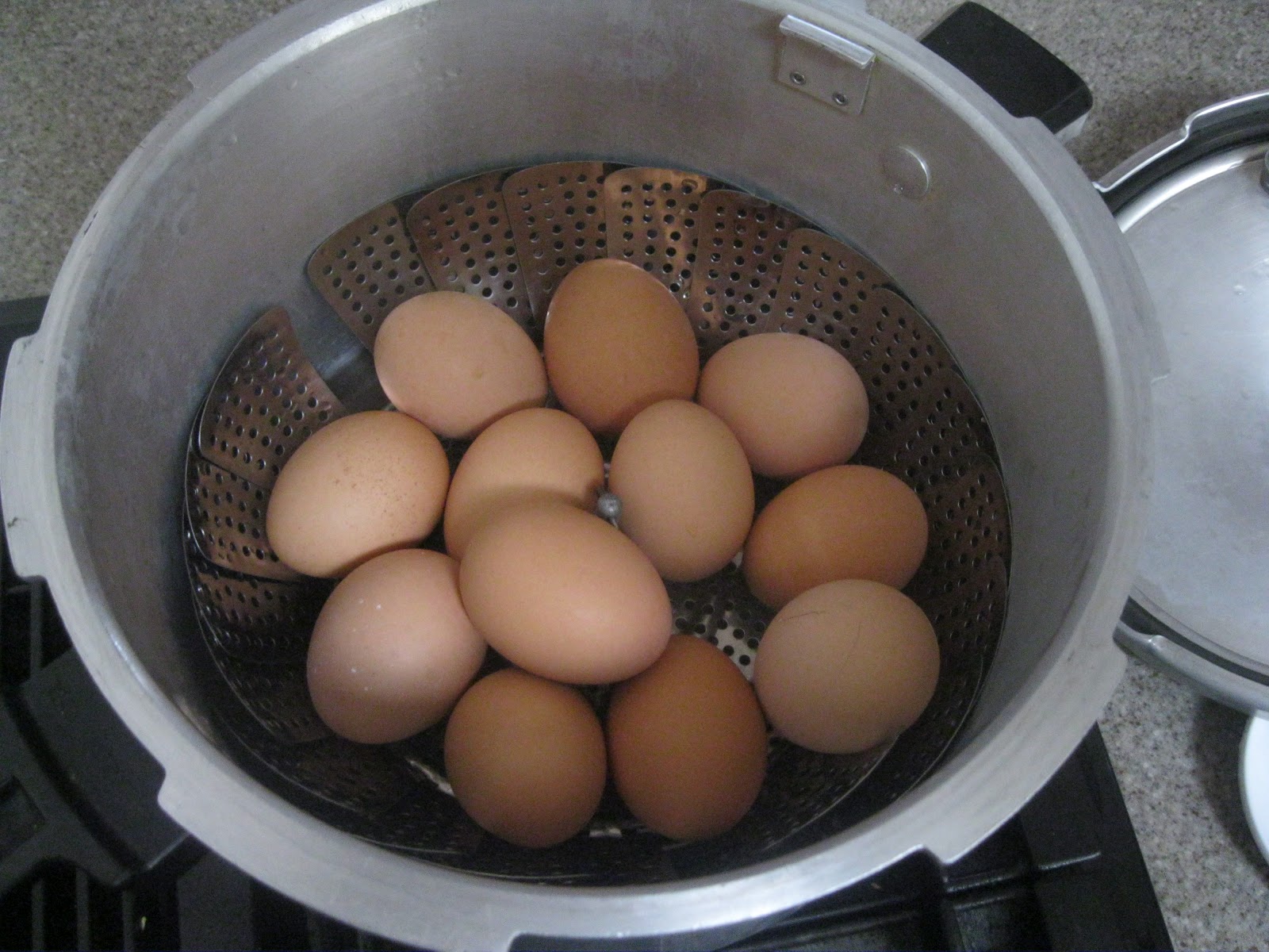 Image result for bowild egg