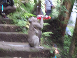  Jalan Jalan ke Objek Wisata Karanganyar Jawa Tengah Liburan Seru ke Parang Ijo, Kemuning, dan Jumog Karang Anyar