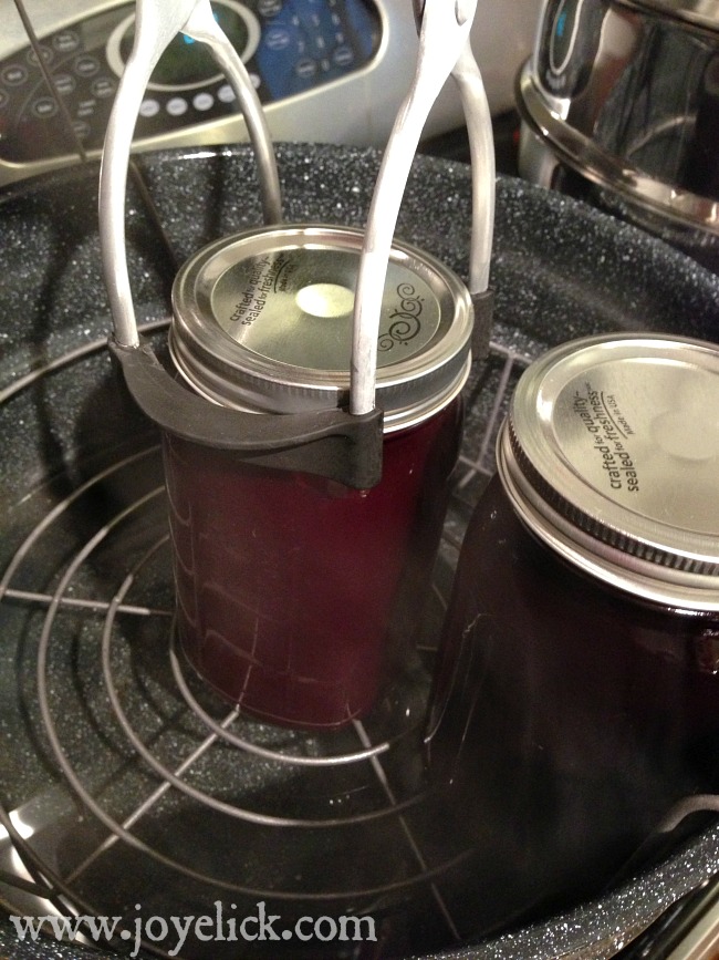Why STEAM JUICERS rock! Discover the best way to make and preserve