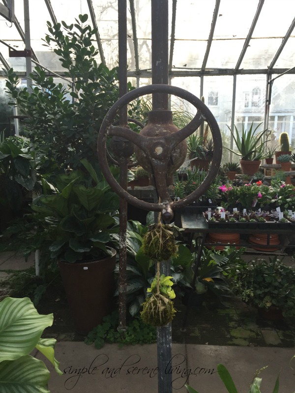 antique water wheel in a greenhouse