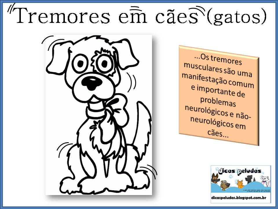 Tremor nas patas traseiras do cachorro Clearance