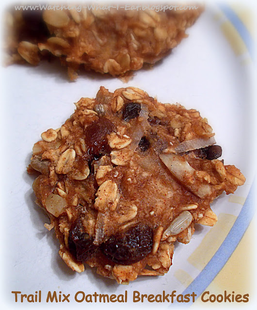 Watching What I Eat Trail Mix Oatmeal Breakfast Cookies feeling the