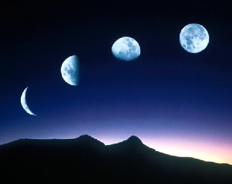 DESDE LA ORILLA: noviembre 2012