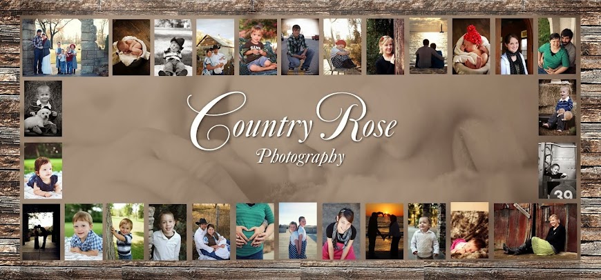 Country Rose Photography