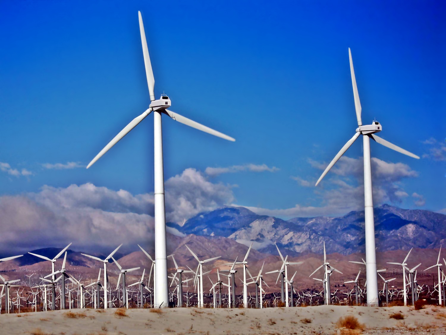 The Next Narrative Are Wind Farms a Good Choice for Environmentally Safe Energy?