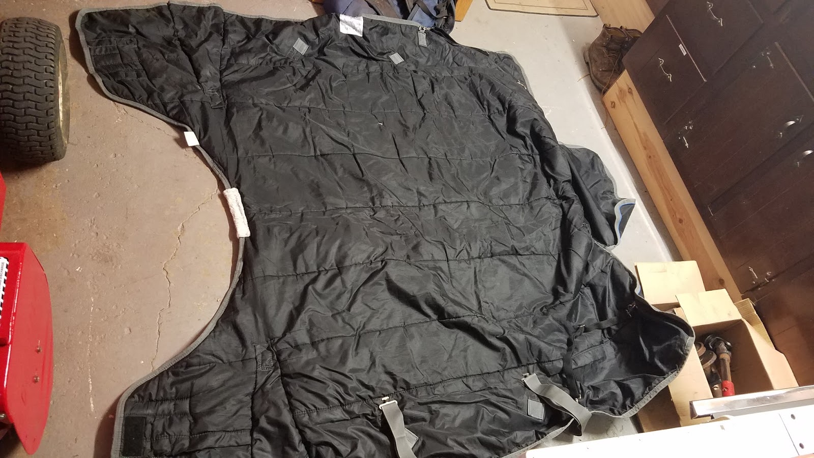 Dream Big Blankets, Clipping, and Training