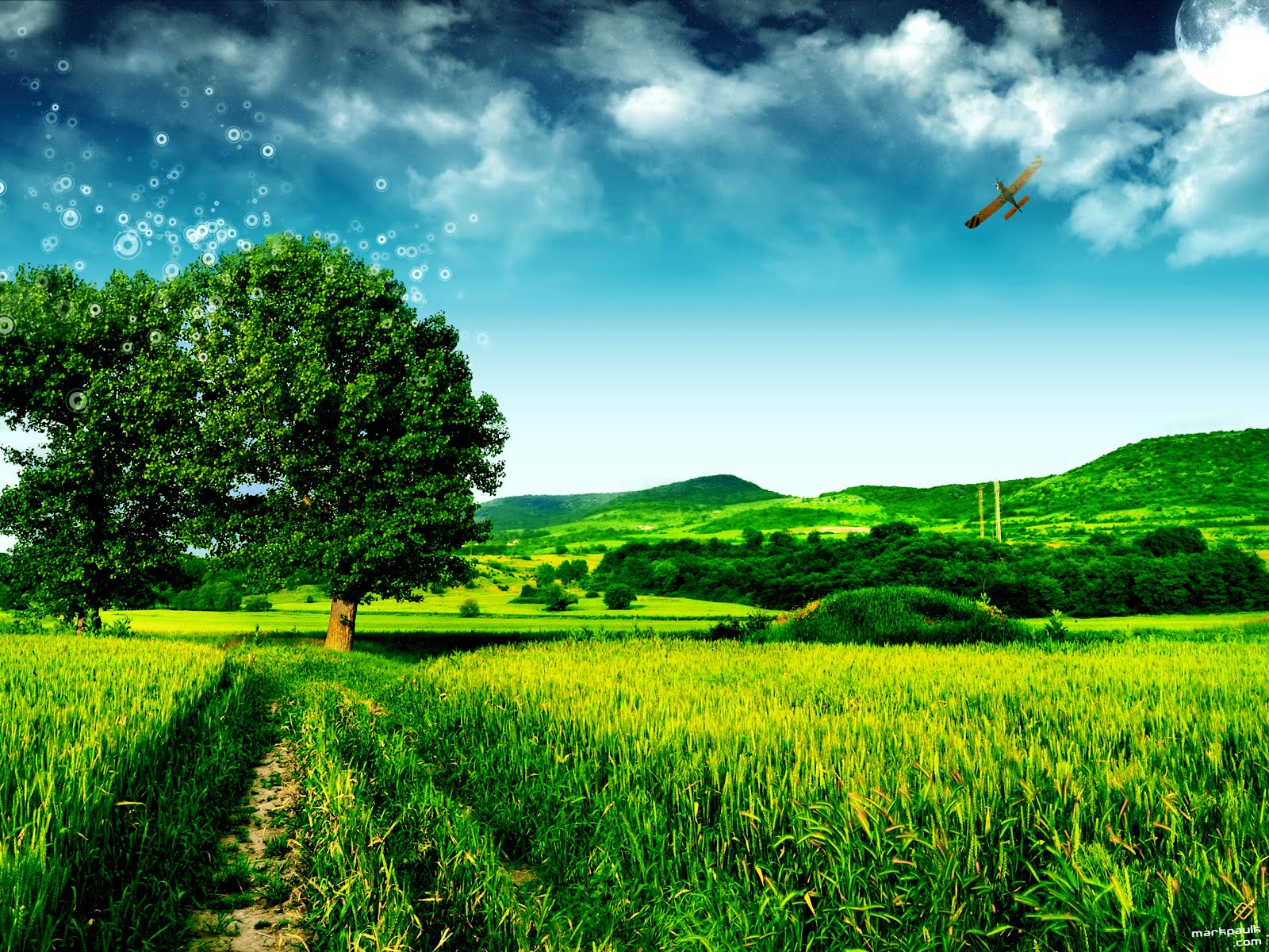 Wallpaper Hd Nature Wallpaper Hd Nature