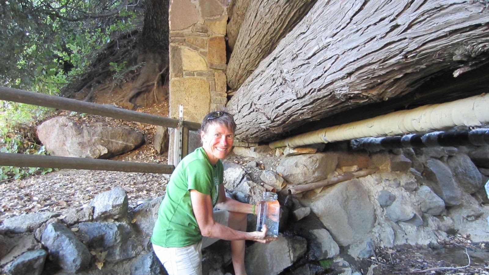 Marg's Racing Ventures: Palomar Spring Water