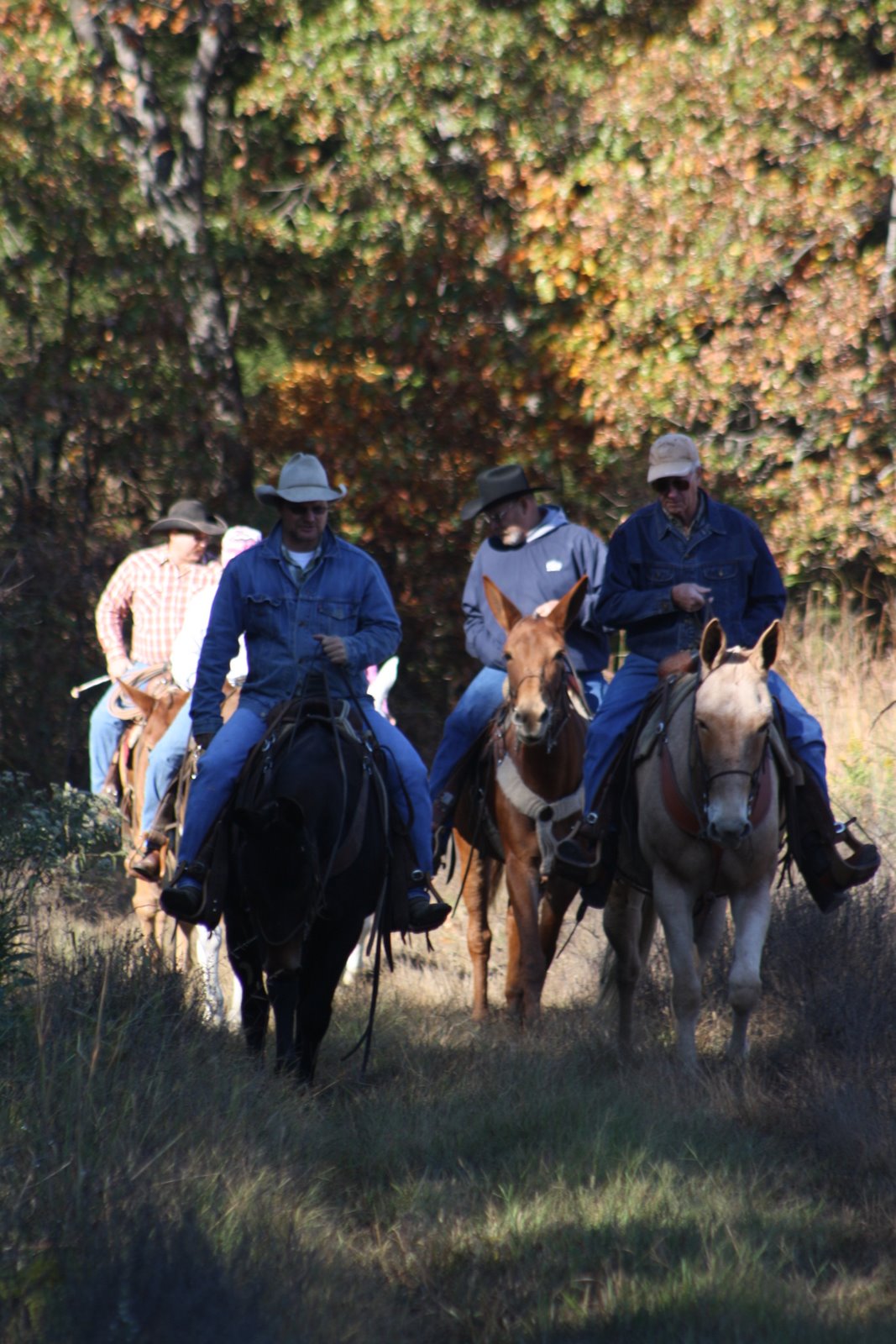 PairADice Mules: Trail Riding