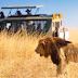 African Most Recommended Safari Sites,Kenya Safari Spots And Activities