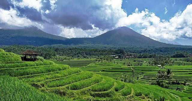Populer 41 Gambar Pemandangan Gunung Dan Sawah Gambar Pemandangan