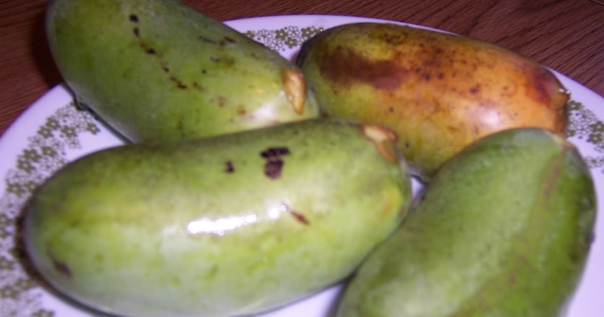 Picking Up Paw Paws & Black Walnuts