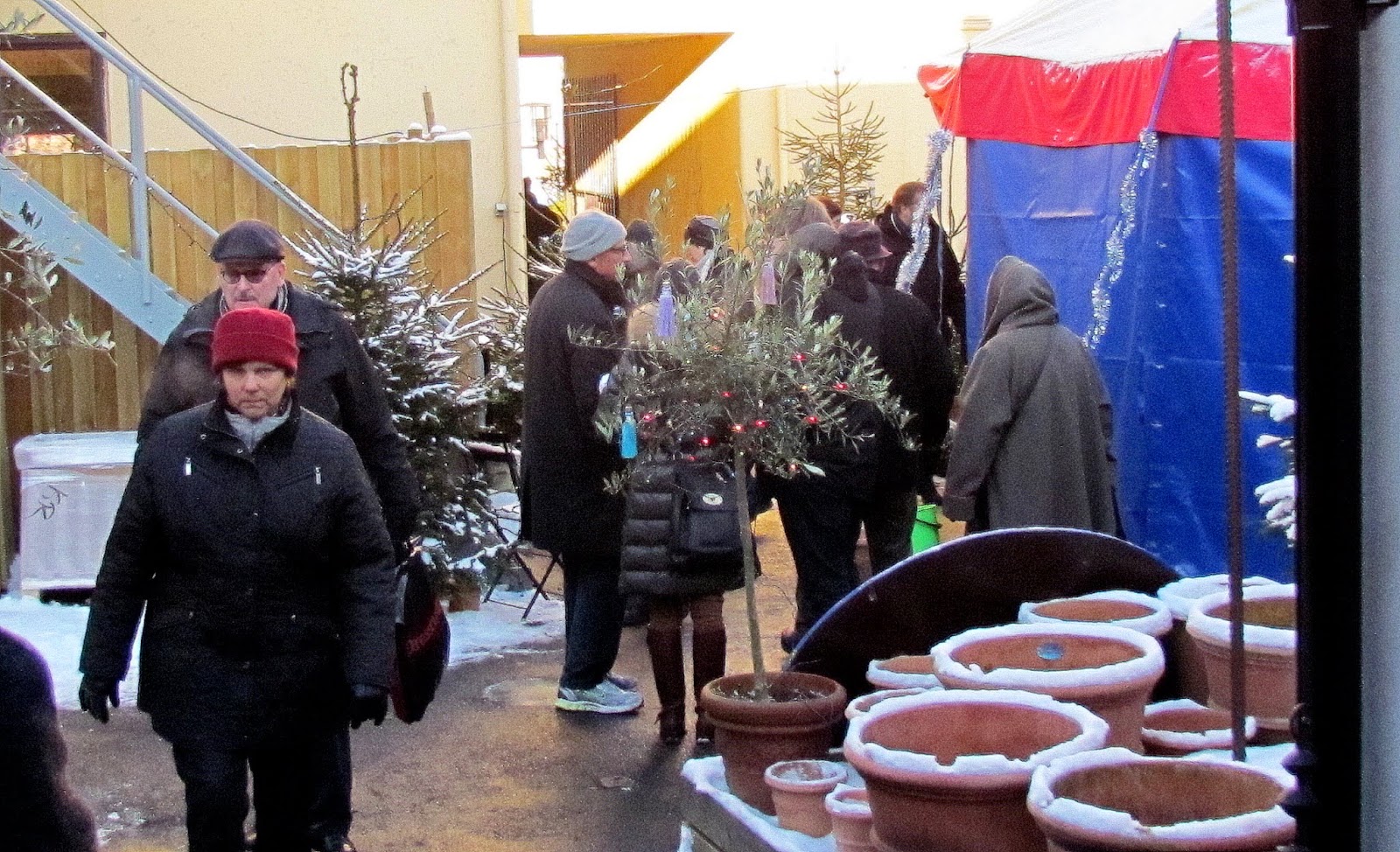 SKÅDA! Fågel, natur, kultur på Österlen Julmarknad i Simrishamn