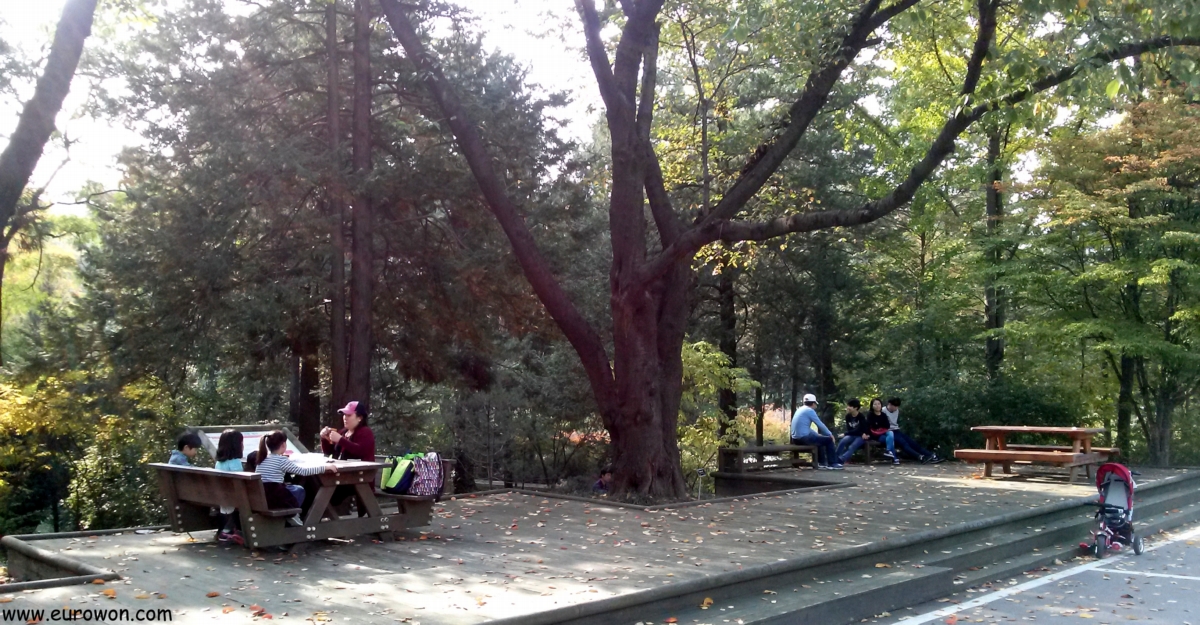 Mesas para picnic en el Arboreto Hongneung de Seúl