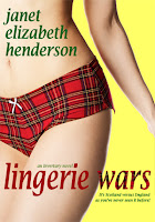 Book cover of Lingerie Wars