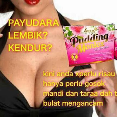 PUDDING MONTOX PUDDING MONTOX UNTUK PAYUSARA TEGANG, PEJAL DAN CANTIK