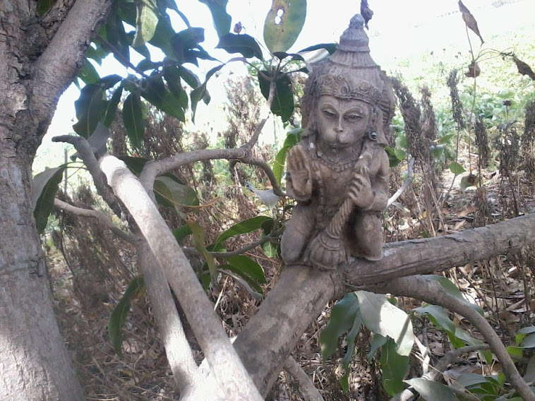 JAI HANUMAN, Sree Anjaneyam Prasannajaneyam