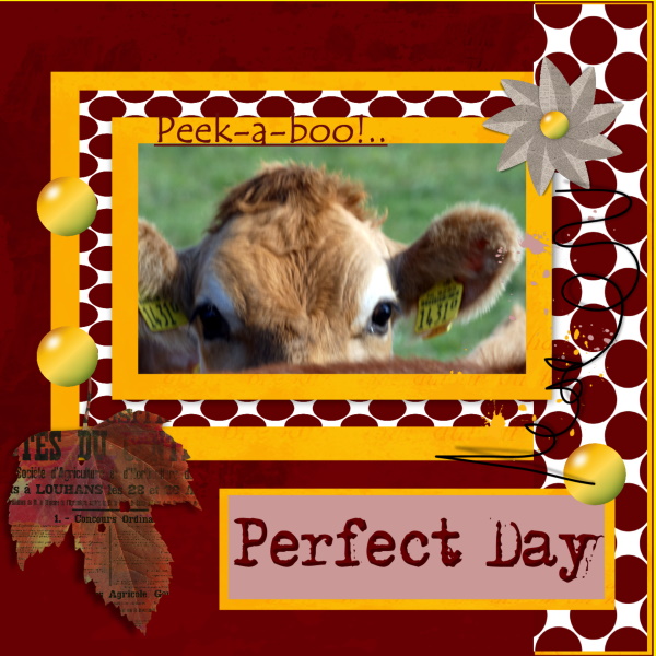 Oct.2019 - Een perfecte dag om een peek-a-boo doen!