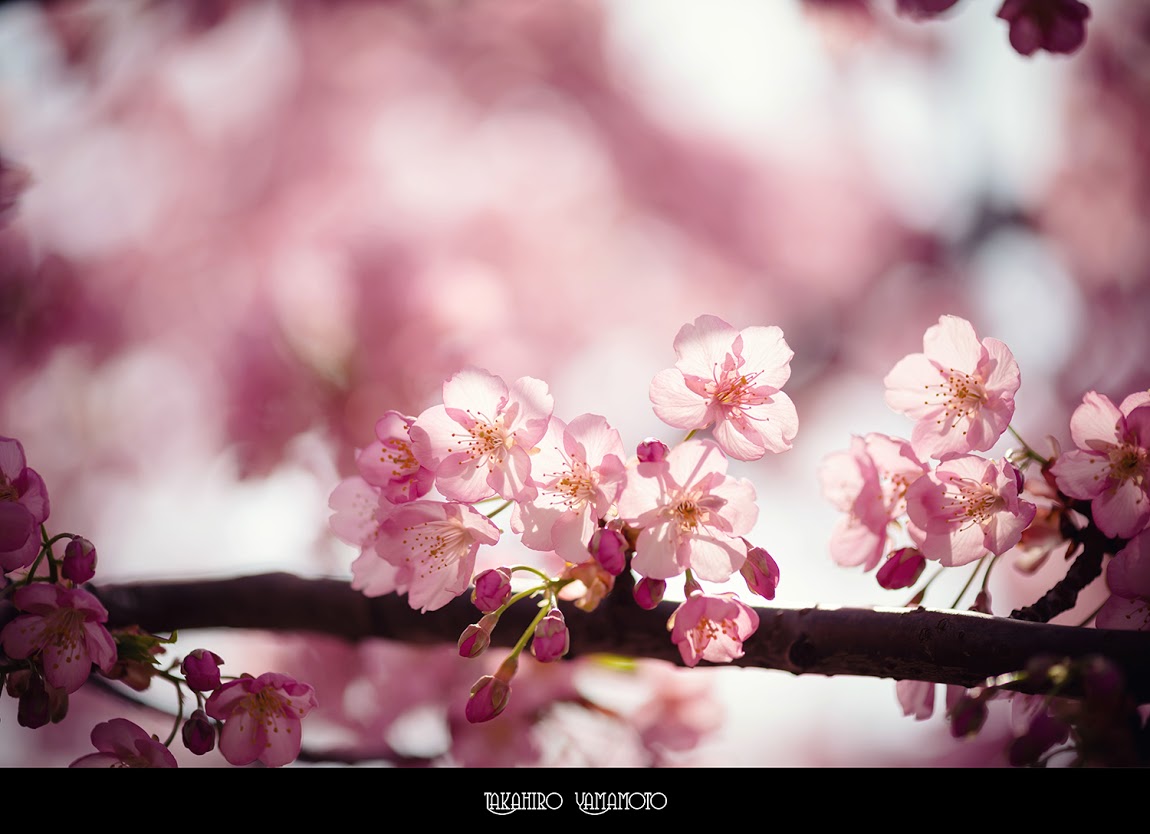 Wallpaper Pemandangan Terbaru Bangiz Wallpaper Pemandangan Terbaru Bangiz