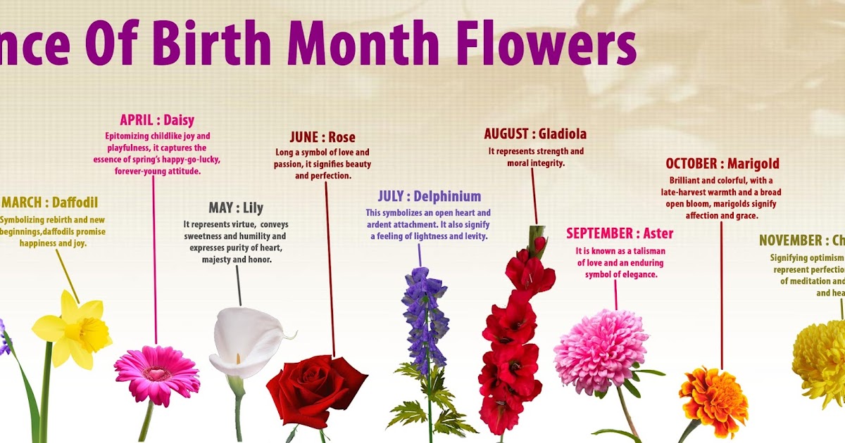 Alisha Wong Birthstones And Flowers For Every Month » January