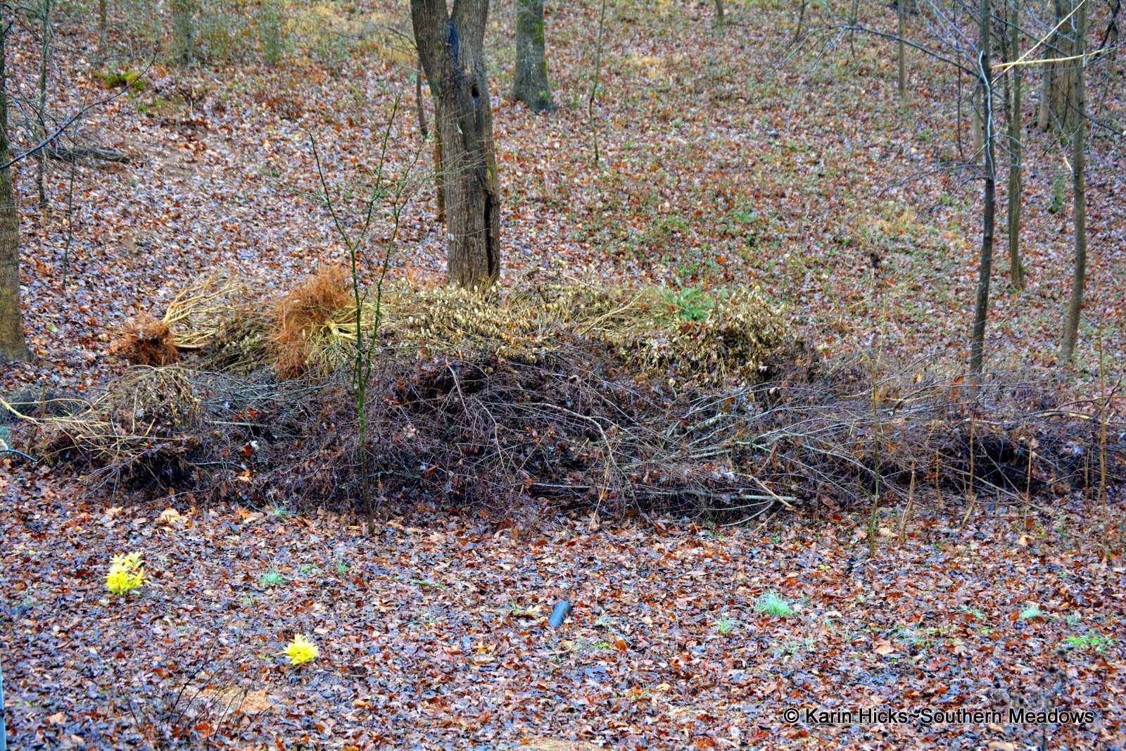 On Creating a Brush Pile