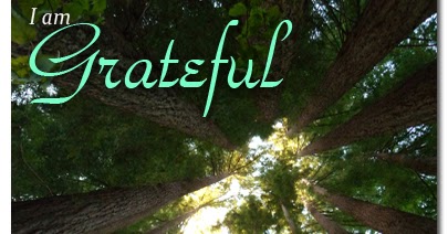 The Gratitude Habit Journal: Grateful for Natural Shade