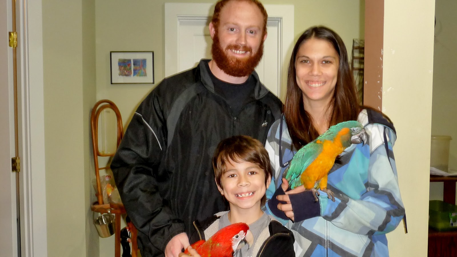 Beaker's Parrot Place