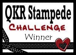 QKR Stampede Winner