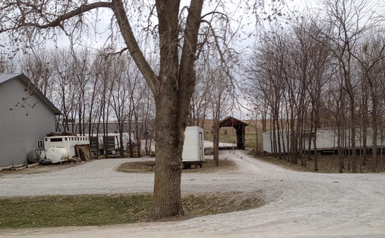 Amish Horses Amish Greenhouse