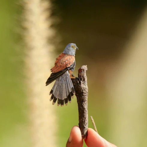 Common Kestral Miniature Paper Bird
