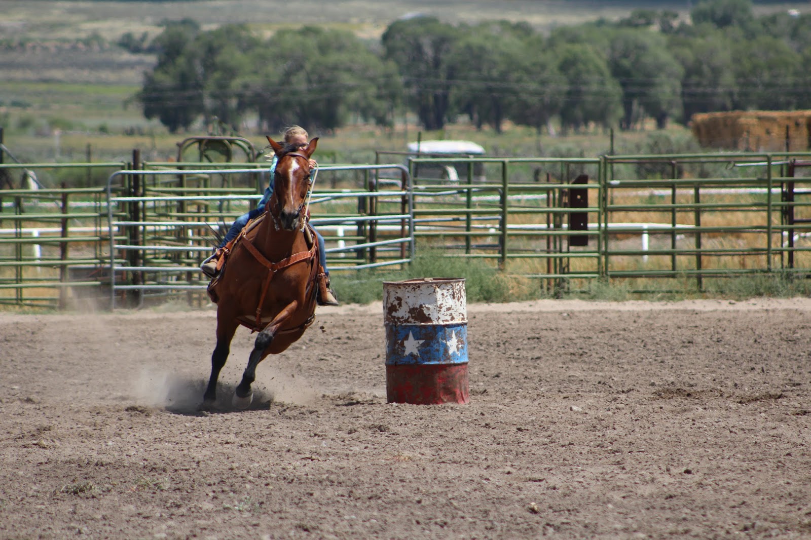 Finchtastic Horse Fun Day Garfield County Fair