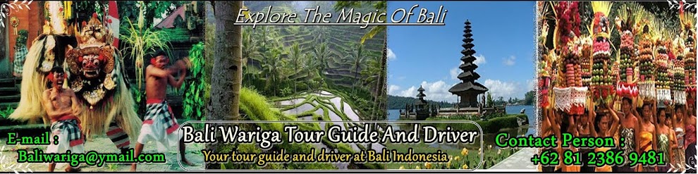 Bali Wariga Tour Guide and Driver