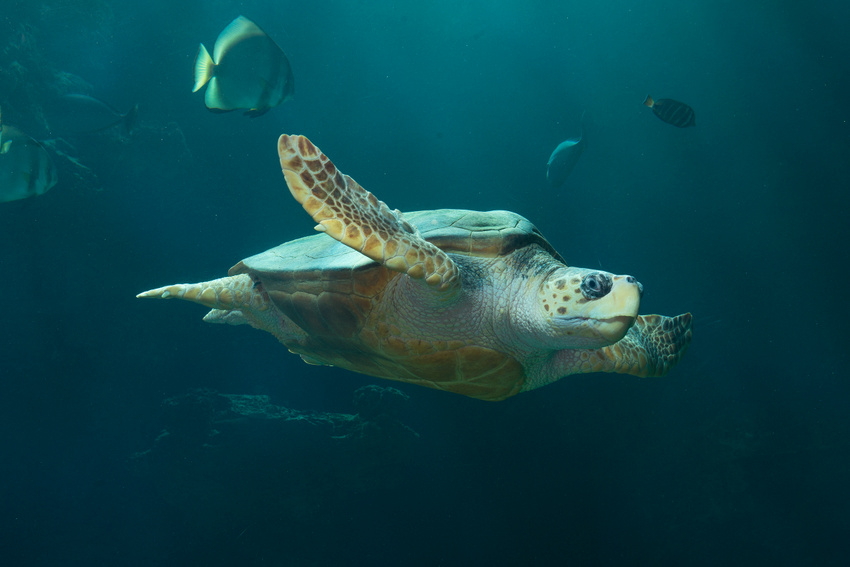 Das Leben Ist Bunt Pfingstmontag Ein Besinnlicher Tag
