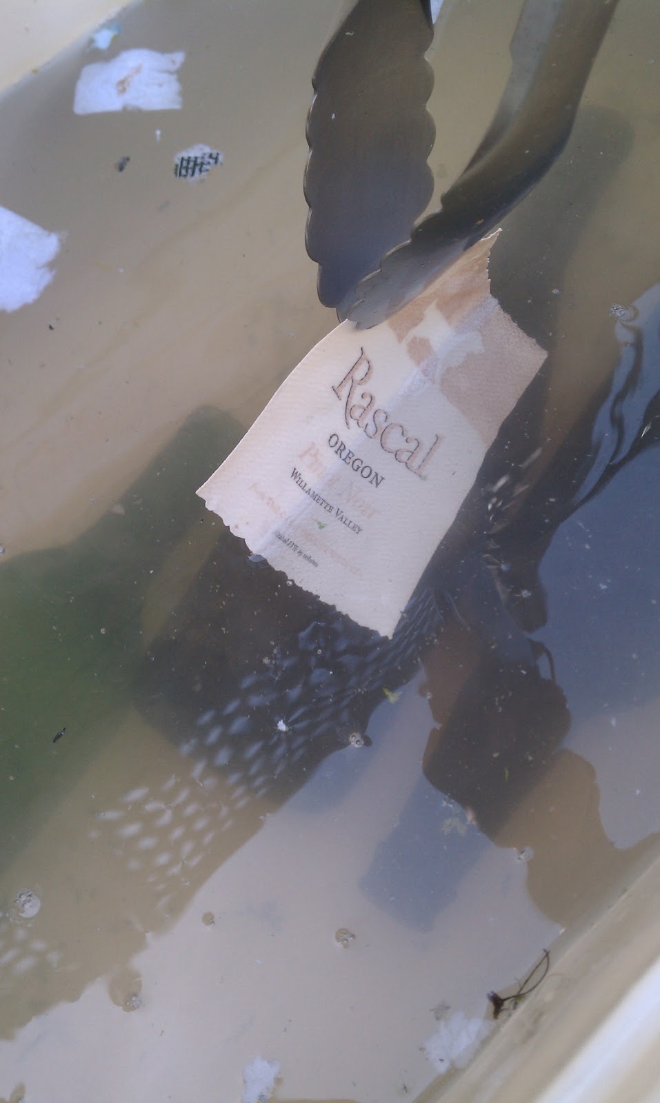 The Homebrew Believer How to effectively remove bottle labels