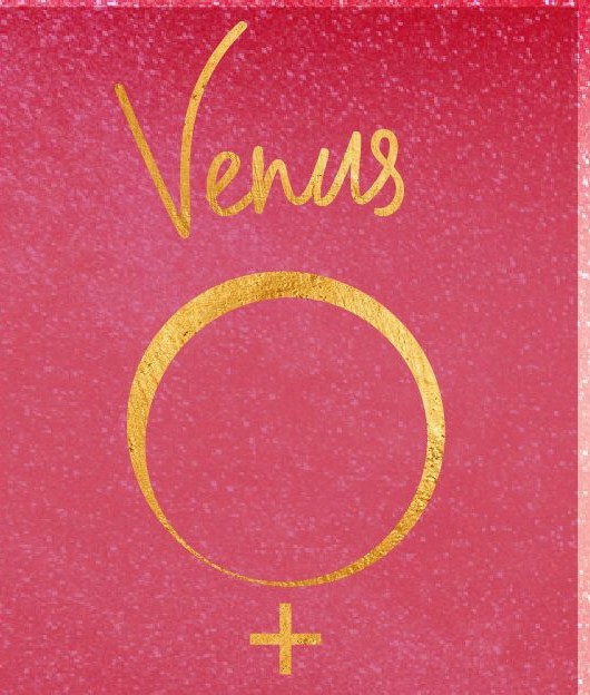 UNDERSTANDING THE THE VENUS