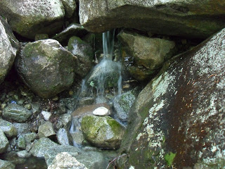 Waternomee Brook Cascades in Kinsman Notch NH