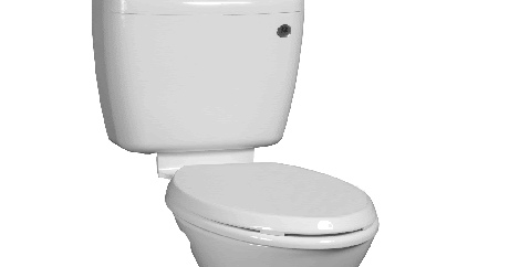 gemini toilet cistern