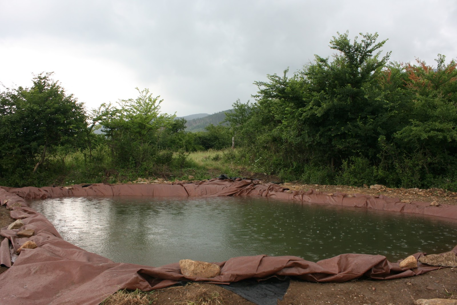 Balkan Ecology Project Small Pond Installations for Irrigation and