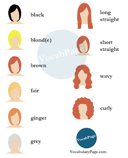 Beauty salon vocabulary