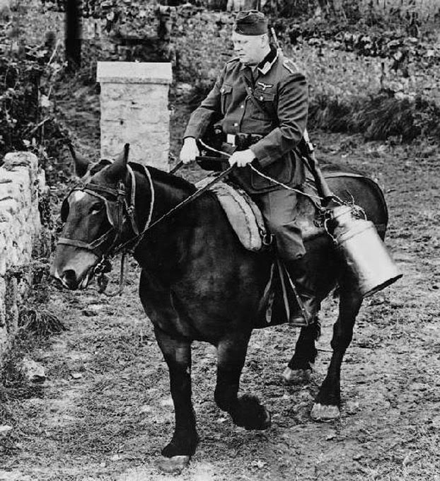 A Question Of Scale A Wargaming Work In Progress Film Review The