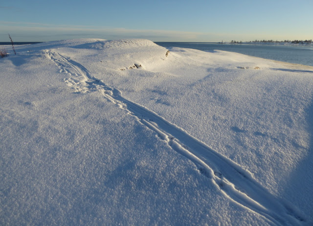 Utterspår vid havet