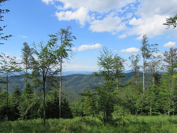 Widoki na północ widok