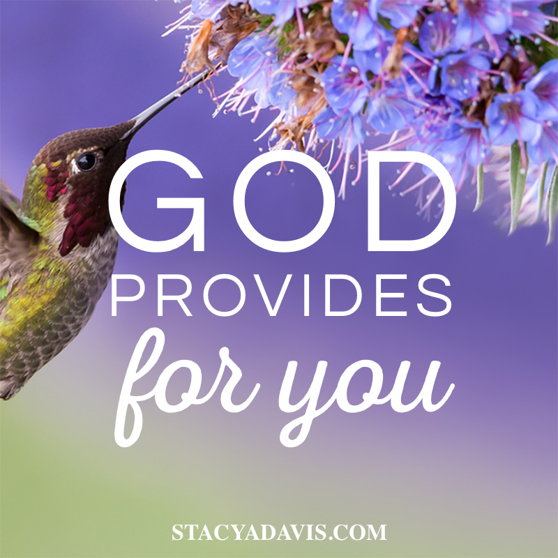 SkyMoms All In Devotional By Stacy Davis God Is The Provider skymoms-all-in-devotional-by-stacy-davis-god-is-the-provider