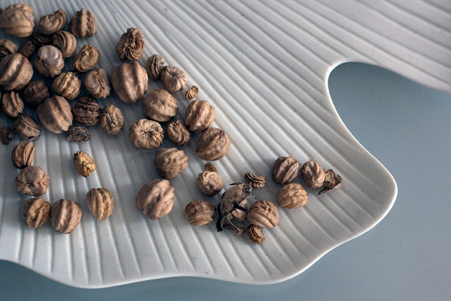 nuts on white plate