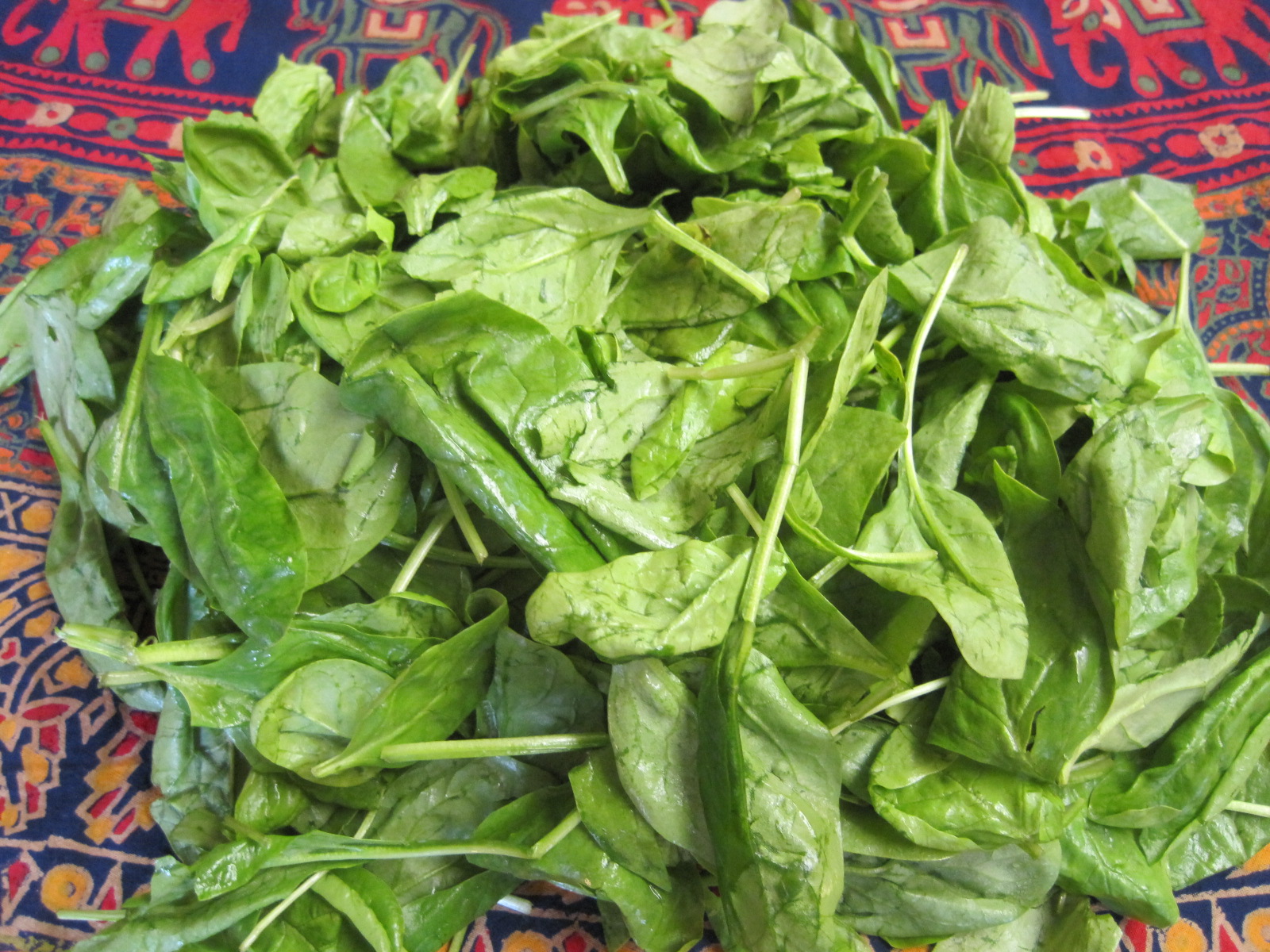 Mom's Cooking Help Spinach Fresh vs. Frozen