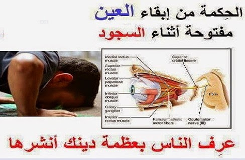 اضغط على الصورة لرؤيتها بالحجم الطبيعي