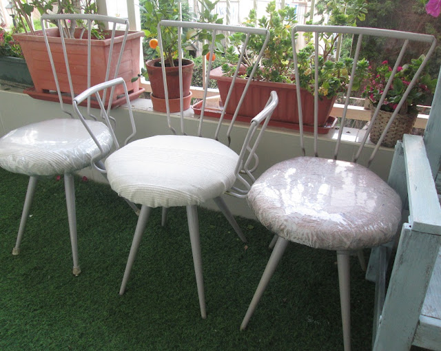 IMG 0033 - גינה בבית