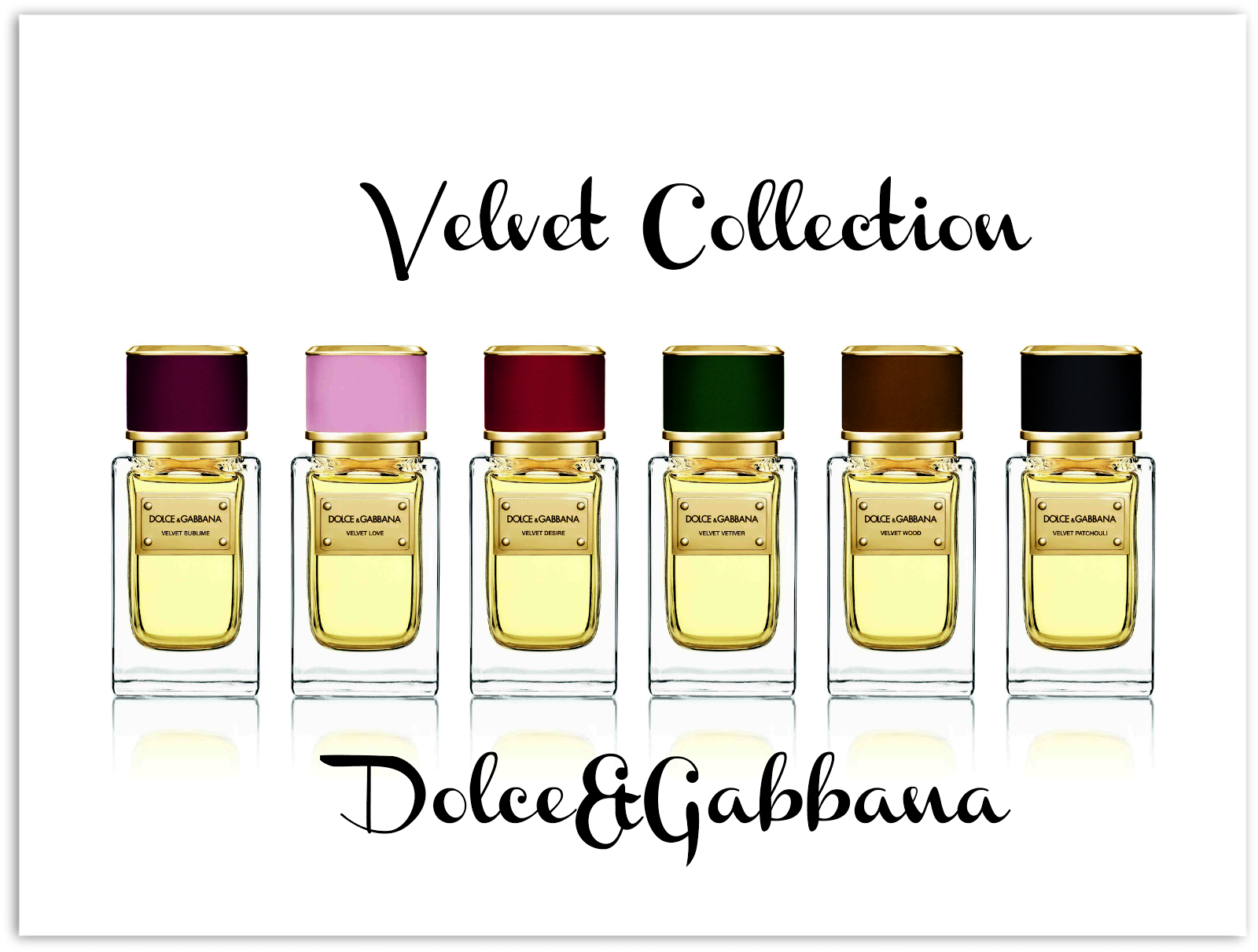 Dolce Gabbana Velvet Wood. Dolce&Gabbana Velvet collection Mughetto. Dolce Gabbana Velvet Mimosa Bloom. Dolce Gabbana Velvet темно зеленая.